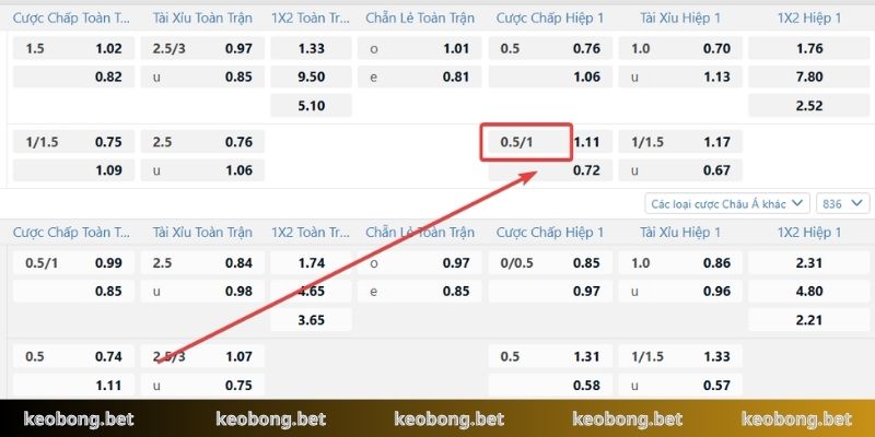 Cách đọc tỷ lệ chấp 0.75 dành cho người mới