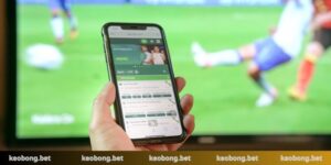 Cách kiếm tiền từ cá độ bóng đá