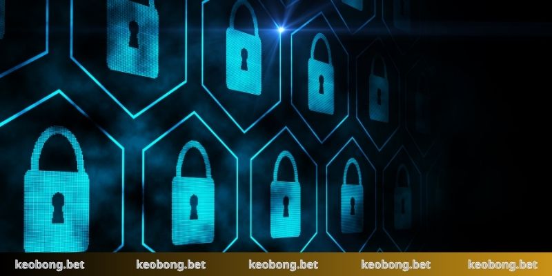 Hệ thống máy chủ lưu trữ thông tin mã hóa tuyệt đối