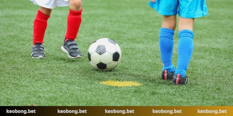Nắm rõ lưu ý để luôn chủ động xuống tiền