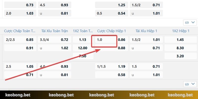 Ngoại hạng Anh là giải đấu sở hữu tỷ lệ Handicap 1 chuẩn