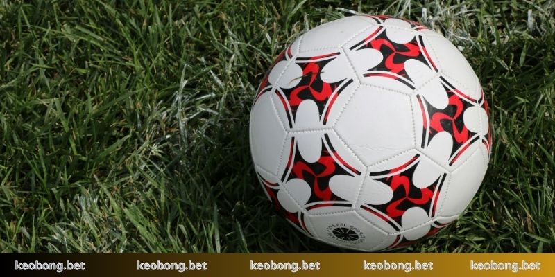 Phân tích bảng odds về cược cơ hội kép cho tân thủ