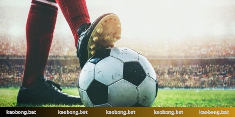 Ưu tiên chọn odds tài xỉu để đặt cược